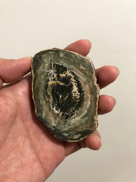 Petrified Wood Slab 109g