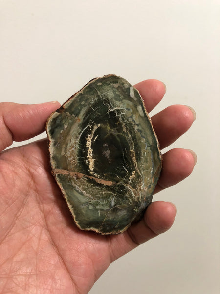 Petrified Wood Slab 109g