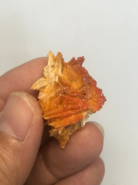 Vanadinite on Barite Raw Crystals 11g