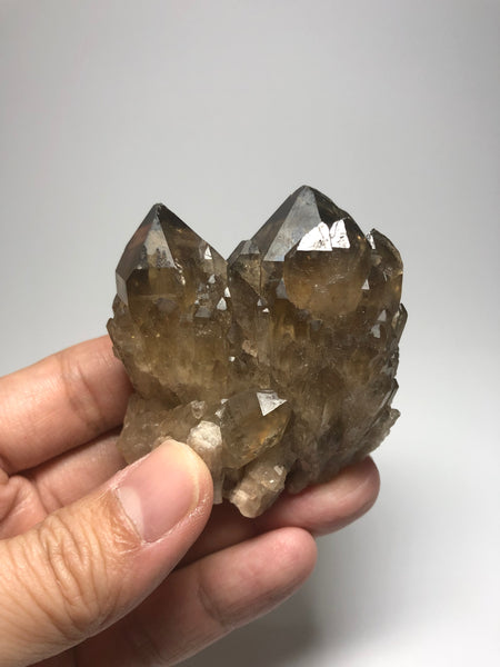 Smoky Citrine Cluster 125g