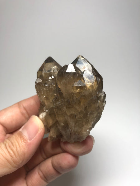 Smoky Citrine Cluster 125g