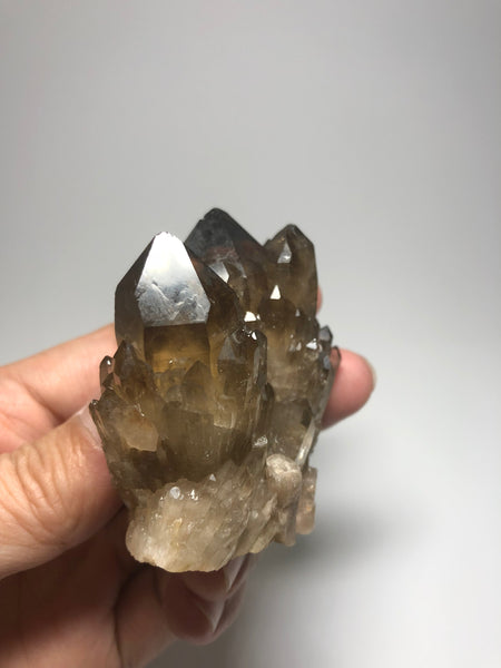 Smoky Citrine Cluster 125g