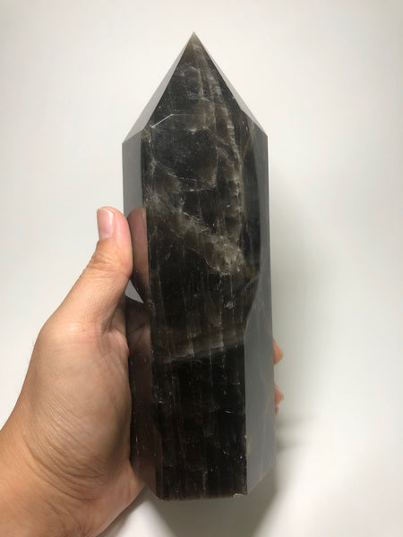 Black Smoky Quartz Crystal Point 1330g