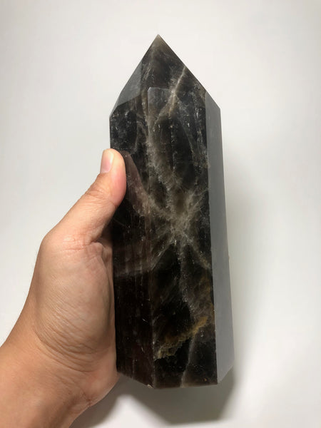 Black Smoky Quartz Crystal Point 1330g