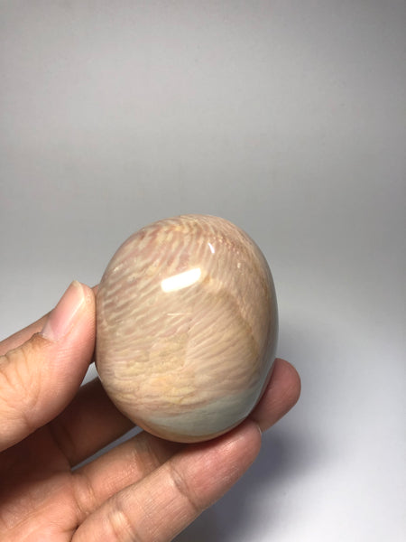 Polychrome Jasper Palm Stones 139g