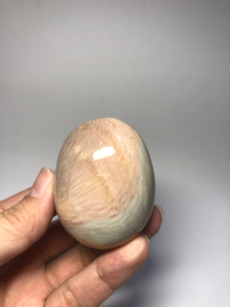 Polychrome Jasper Palm Stones 139g