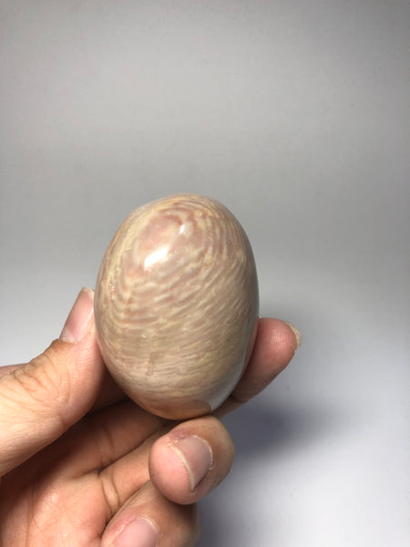 Polychrome Jasper Palm Stones 139g