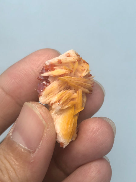 Vanadinite on Barite Raw Crystals 13g