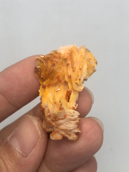 Vanadinite on Barite Raw Crystals 14g