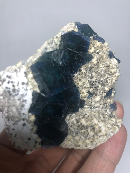 Translucent Dark Blue Green Cubic Fluorite Raw Crystals 151g