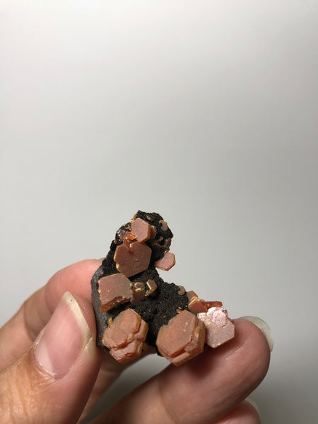 Red Vanadinite Crystal Cluster on Goethite 15g