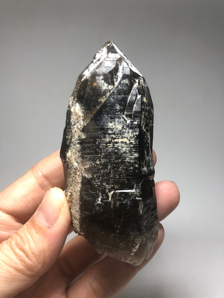 Morion Quartz Raw Crystals 168g