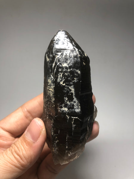 Morion Quartz Raw Crystals 168g