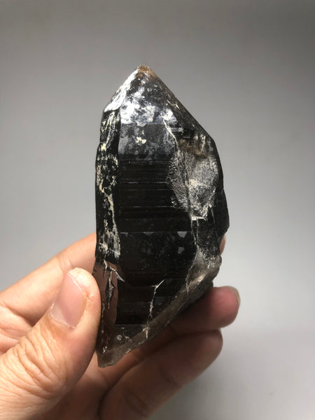 Morion Quartz Raw Crystals 168g