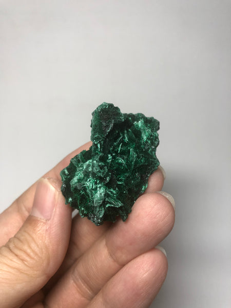 Malachite Raw Crystals 21g