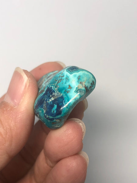 Shattuckite with Chrysocolla Tumbled Stones 21g