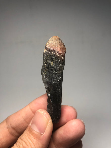 Super Seven (7) Melody Stone Raw Crystals 21g