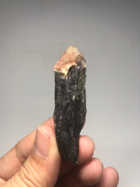 Super Seven (7) Melody Stone Raw Crystals 21g