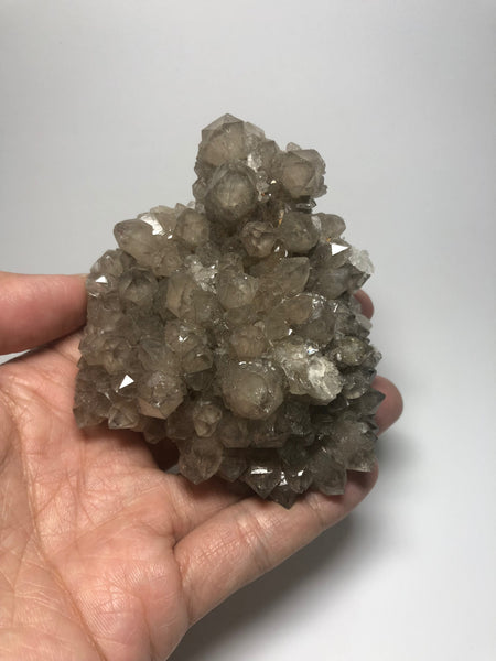 Smoky Quartz Cluster 228g