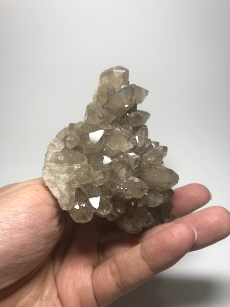Smoky Quartz Cluster 228g