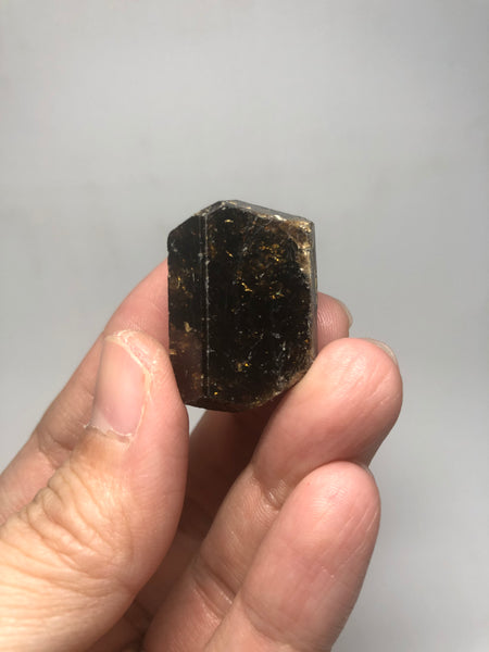 Dravite Brown Tourmaline Raw Crystals 23g