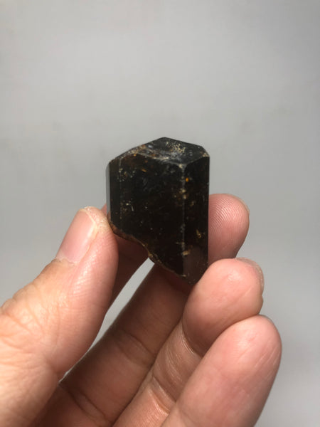 Dravite Brown Tourmaline Raw Crystals 23g