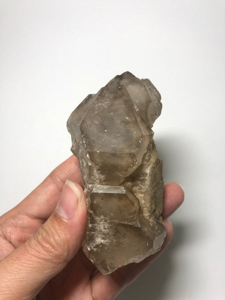 Elestial Smoky Quartz 249g