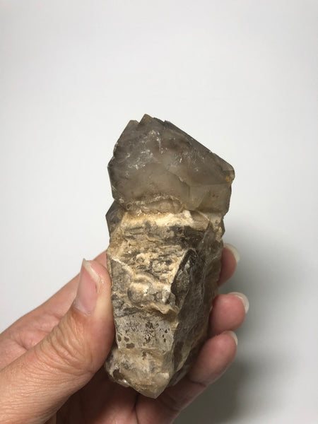 Elestial Smoky Quartz 249g