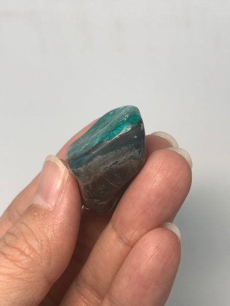 Chrysocolla with Dioptase Tumbled Stones 24g