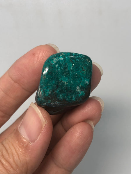 Chrysocolla with Dioptase Tumbled Stones 24g
