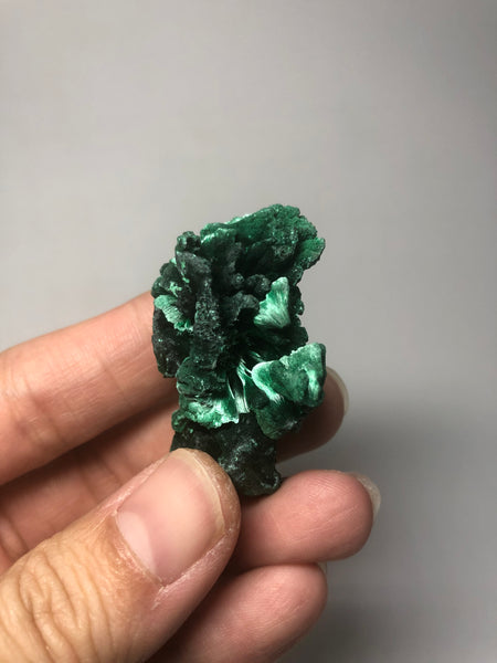 Malachite Raw Crystals 24g