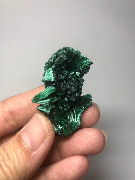 Malachite Raw Crystals 24g