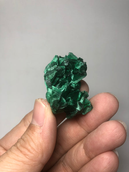 Malachite Raw Crystals 24g