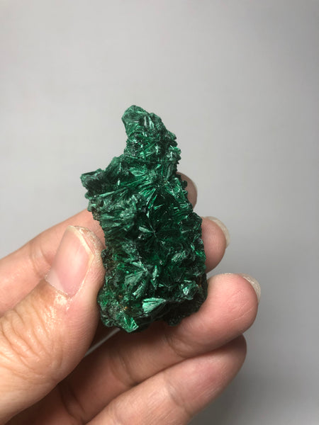 Malachite Raw Crystals 25g