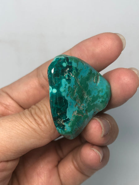 Chrysocolla with Dioptase Tumbled Stones 26g