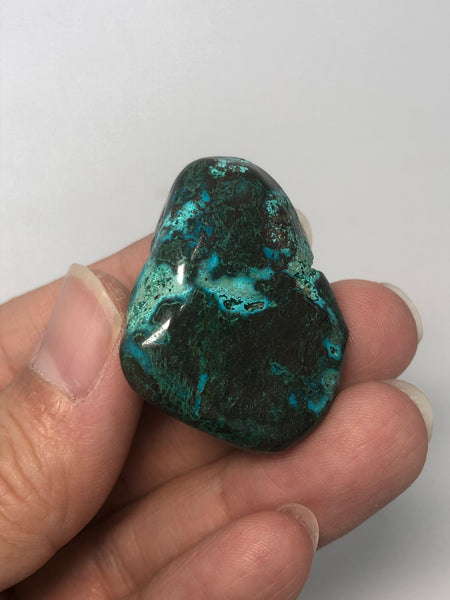 Chrysocolla with Heterogenite Tumbled Stones 26g