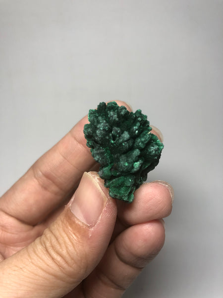 Malachite Raw Crystals 26g
