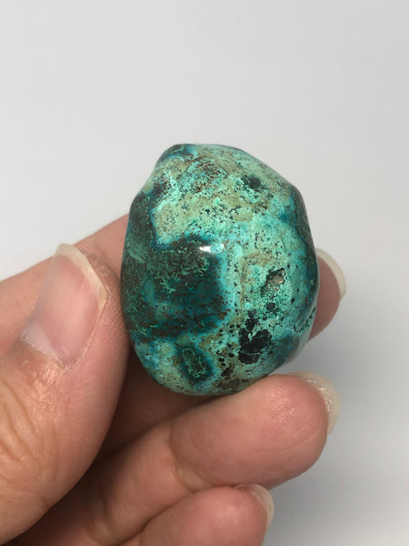 Chrysocolla with Heterogenite Tumbled Stones 28g