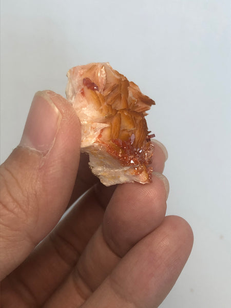 Vanadinite on Barite Raw Crystals 30g