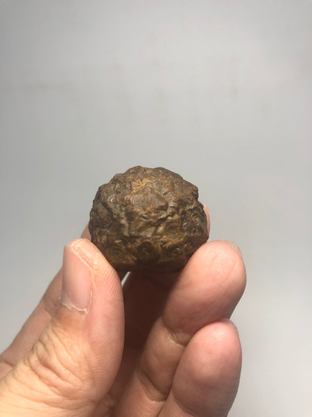 Prophecy Stone Raw Crystals 34g