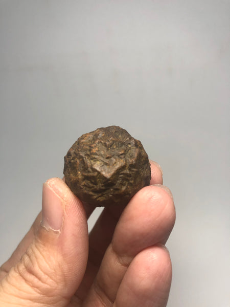 Prophecy Stone Raw Crystals 34g