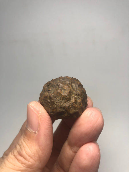 Prophecy Stone Raw Crystals 34g