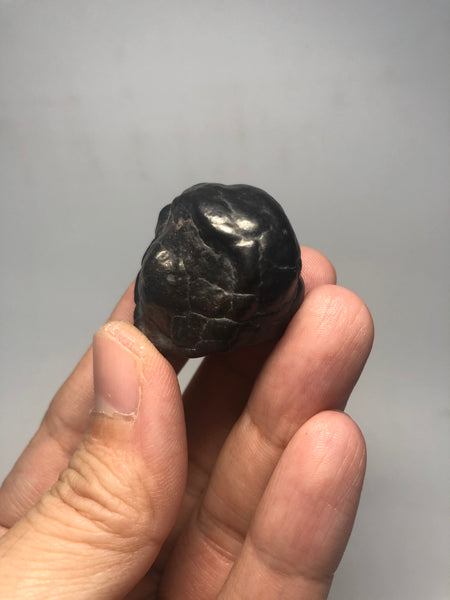 Prophecy Stone Raw Crystals 38g