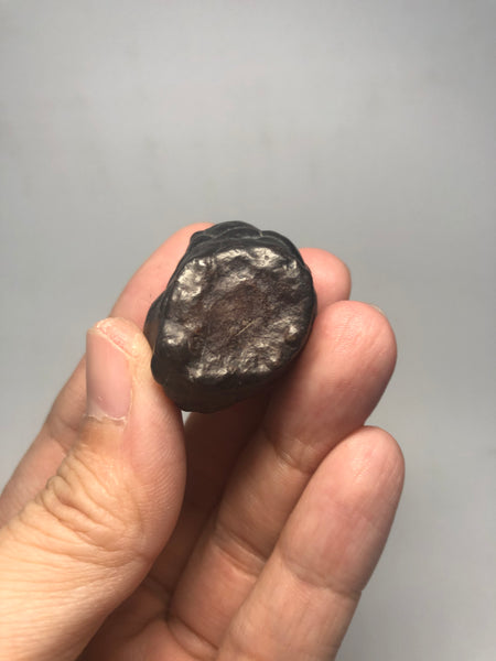 Prophecy Stone Raw Crystals 38g