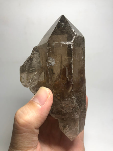 Smoky Quartz with Golden Rutile Raw Crystals 395g