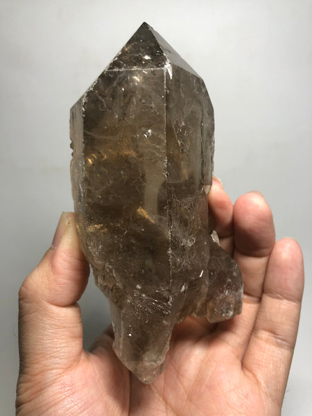 Smoky Quartz with Golden Rutile Raw Crystals 395g