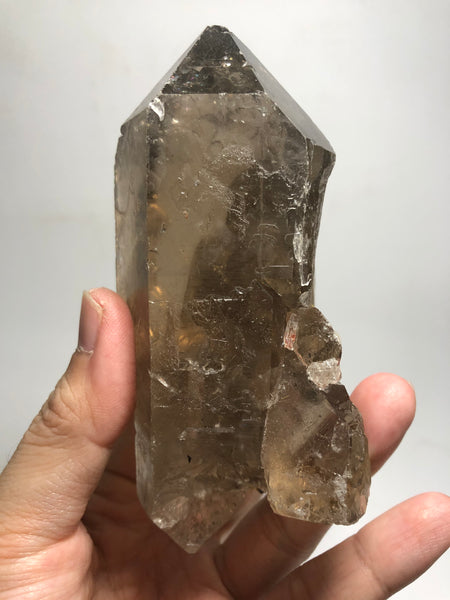 Smoky Quartz with Golden Rutile Raw Crystals 395g