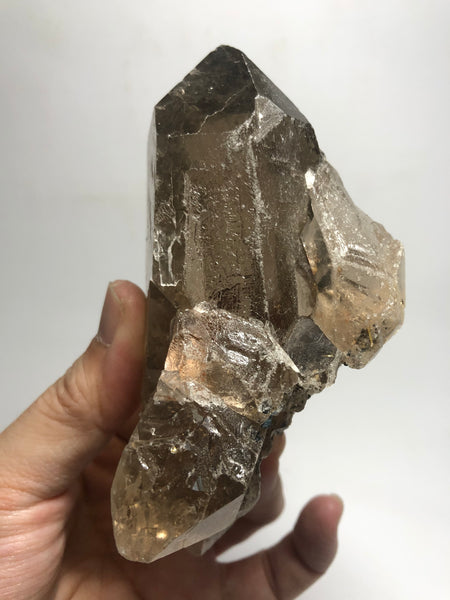 Smoky Quartz with Golden Rutile Raw Crystals 395g