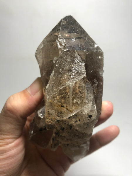 Smoky Quartz with Golden Rutile Raw Crystals 395g