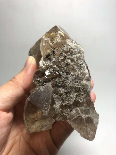 Smoky Quartz with Golden Rutile Raw Crystals 395g